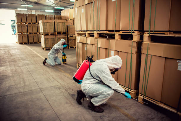 Professional Pest Control in Pevely, MO