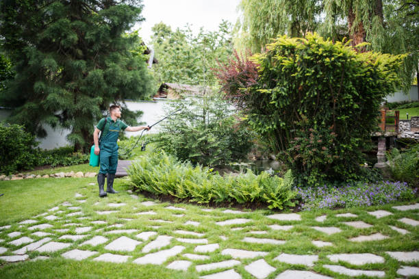 Best Pest Inspection Near Me  in Pevely, MO