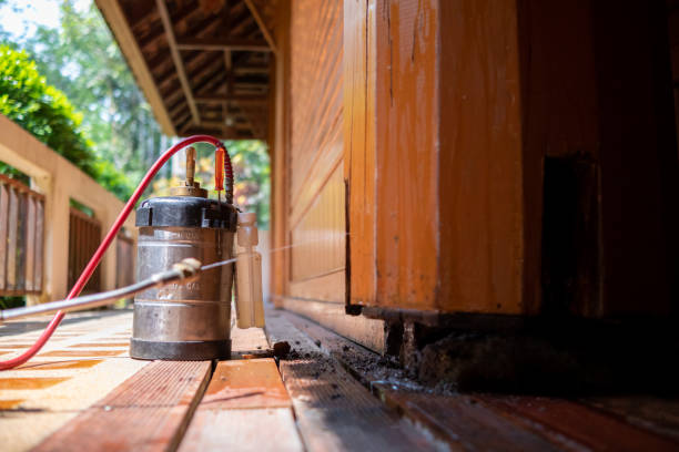 Best Pest Removal Services  in Pevely, MO